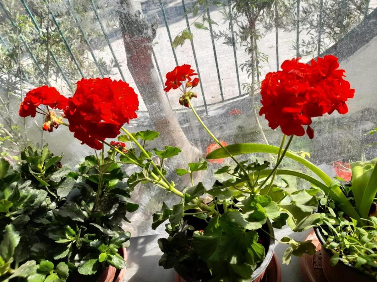 Bar Restorant Hotel Altini Wlora Zewnętrze zdjęcie